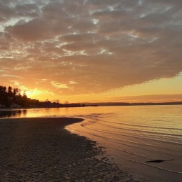 What a perfect day for a beach trip! Conveniently located in our backyard! https://parks.wa.gov/find-parks/state-parks/dash-point-state-park Instagram post from @foxrunaptswa on July 13, 2024 12:01:21pm
